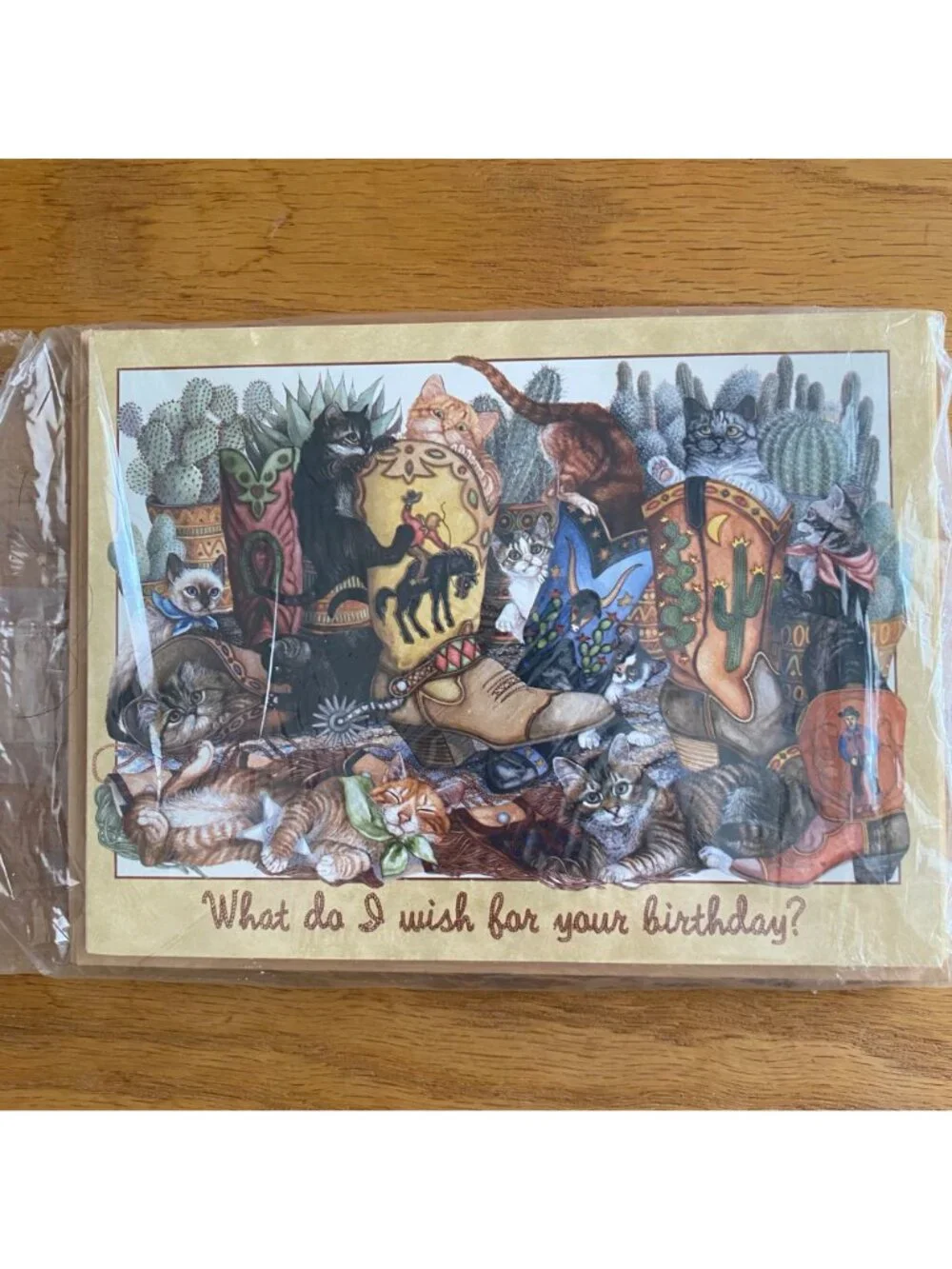 VINTAGE Leanin’ Tree 6-Pack Birthday Cards BOOT‎ CAMP Cat Kitten Cactus Western